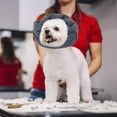 thumbnail image 4 of Abrigo de Oreja Sunnimix para Perro Disfraz Diadema de Redecil Invierno Cubierta de Orejas de Mascotas S, 4 of 8