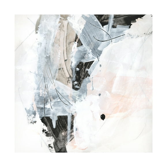 June Erica Vess 'Veiled Formation IV' Canvas Art