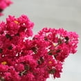 thumbnail image 2 of Expert Gardener Tuscarora Crape Myrtle Live Tree in 7-Gallon Grower Pot, 2 of 11