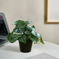 thumbnail image 6 of ZHMRFG Simulation Peperomia Argyreia Grandis Potted Plant 7.48in Plastic Lifelike Fake Green Plant Compact Size Perfect for Small Spaces No Maintenance for Living Room Bedroom Office Desk Decor, 6 of 6