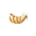 thumbnail image 2 of Hand Shaped Wall Shelf, 5.5 in x 3.9 in x 3.1 in, Plastic, for Household Repair and Organization, Beige, 2 of 5