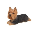 thumbnail image 5 of Hi-Line Gift Ltd Yorkshire Terrier Dog Lying Down Statue, 5 of 5