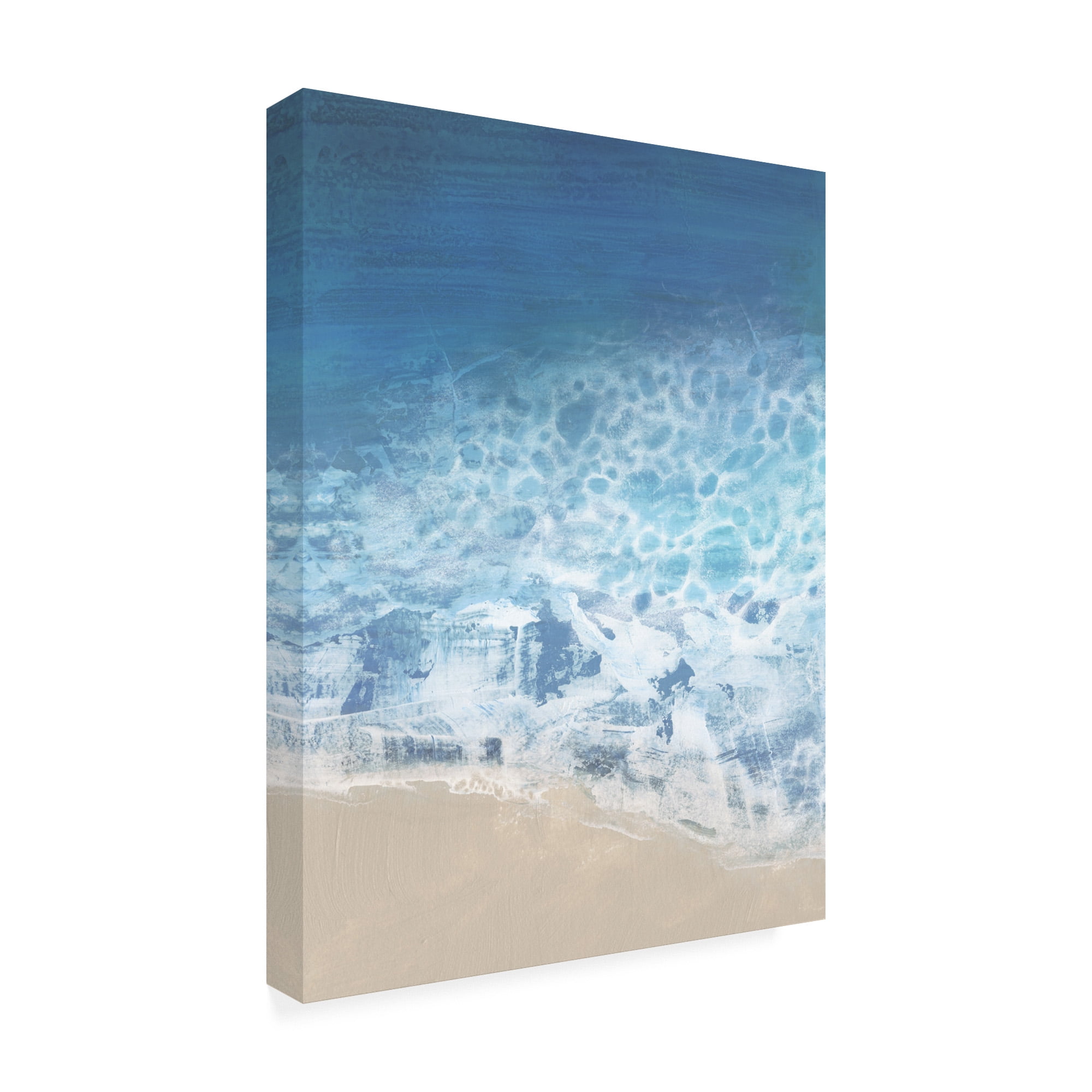 Trademark Fine Art 'Ebb And Flow II' Canvas Art by Victoria Borges