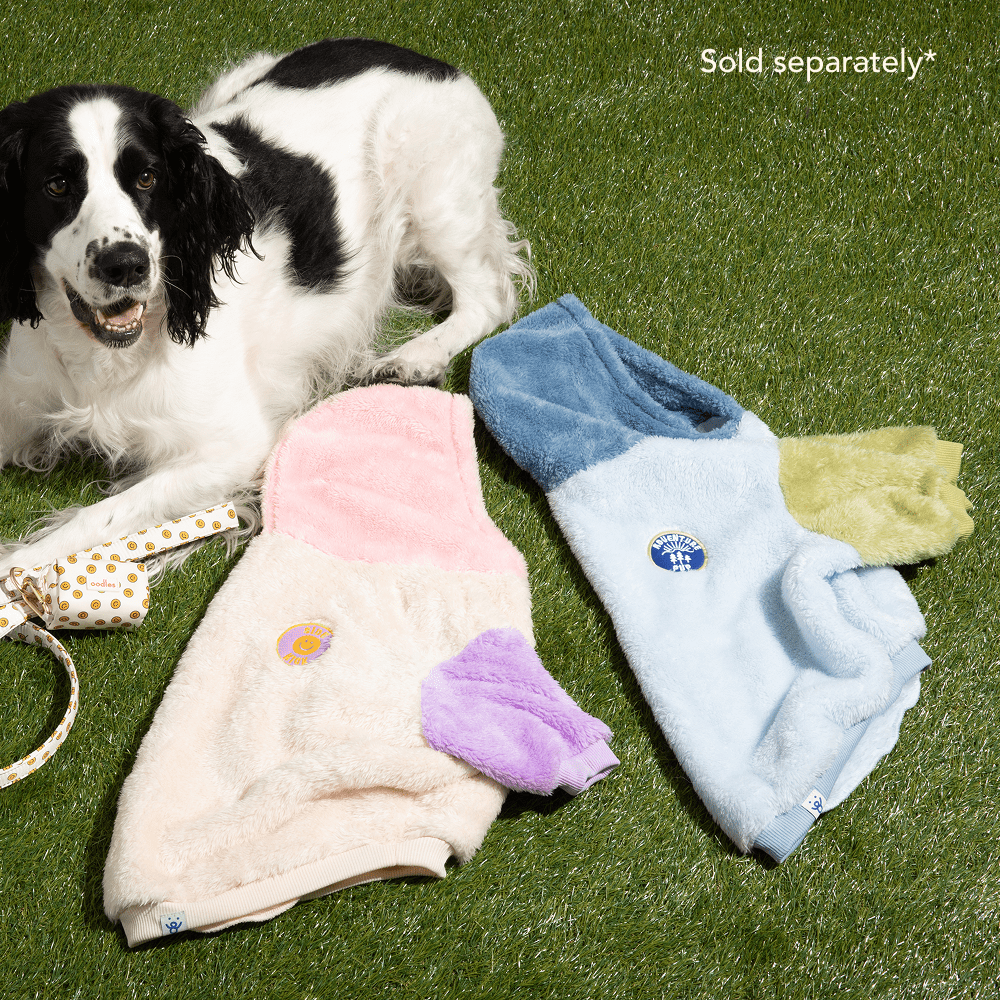 Oodles Fall Multi-Colored Side Kick Bubble Hem Sherpa Dog Hoodie, Large