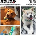 thumbnail image 5 of azuza Dog Collar with Bow Soft & Comfy Bowtie Dog Collar for Small Medium Large Dogs, 5 of 7