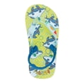 thumbnail image 4 of Fish Flops Toddler Boys Flip Flops, Sizes 5/6-11/12, 4 of 5