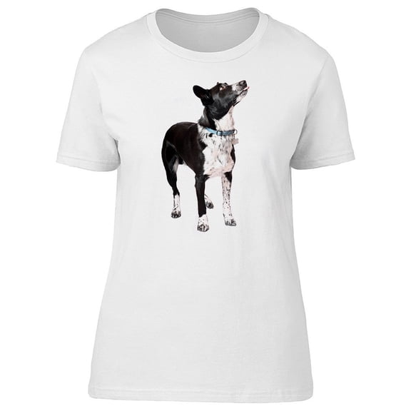 Border Collie Dog Watercolor Tee Men's -Image by Shutterstock