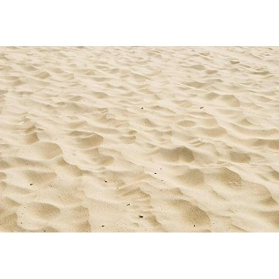 Real Beach Sand Edible Icing Image for Cake or Cupcake Cookie Topper