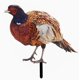 thumbnail image 5 of Pheasant Garden Decoration Outdoor Statue Sculpture Decor Outdoor ations Chicken Lawn ation Hen Stake Sign Chicken Yards Stake Lawn Ornament, 5 of 5