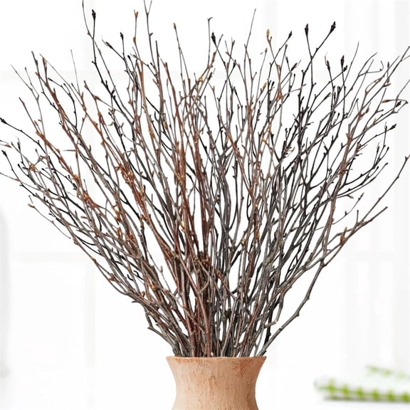 Dried Birch Branches 18in Birch Twigs Natural Decorative Birch Sticks for Vase DIY Centerpiece Wedding Party Supplies Home Ornament, 20Pcs, QZS