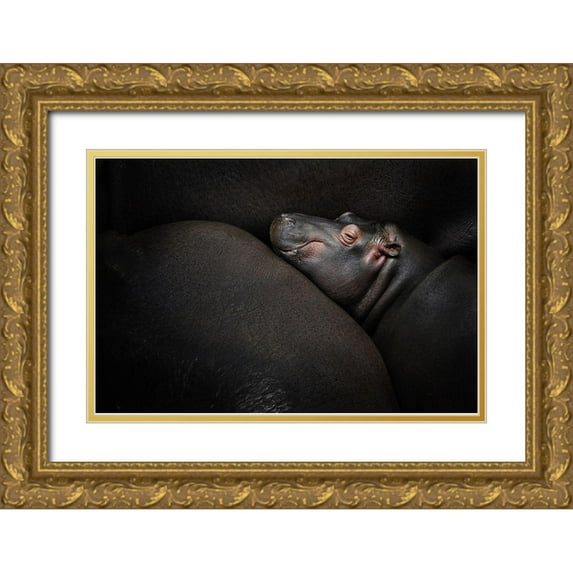 Vales, Zdenek 14x11 Gold Ornate Wood Framed with Double Matting Museum Art Print Titled - Dreamin