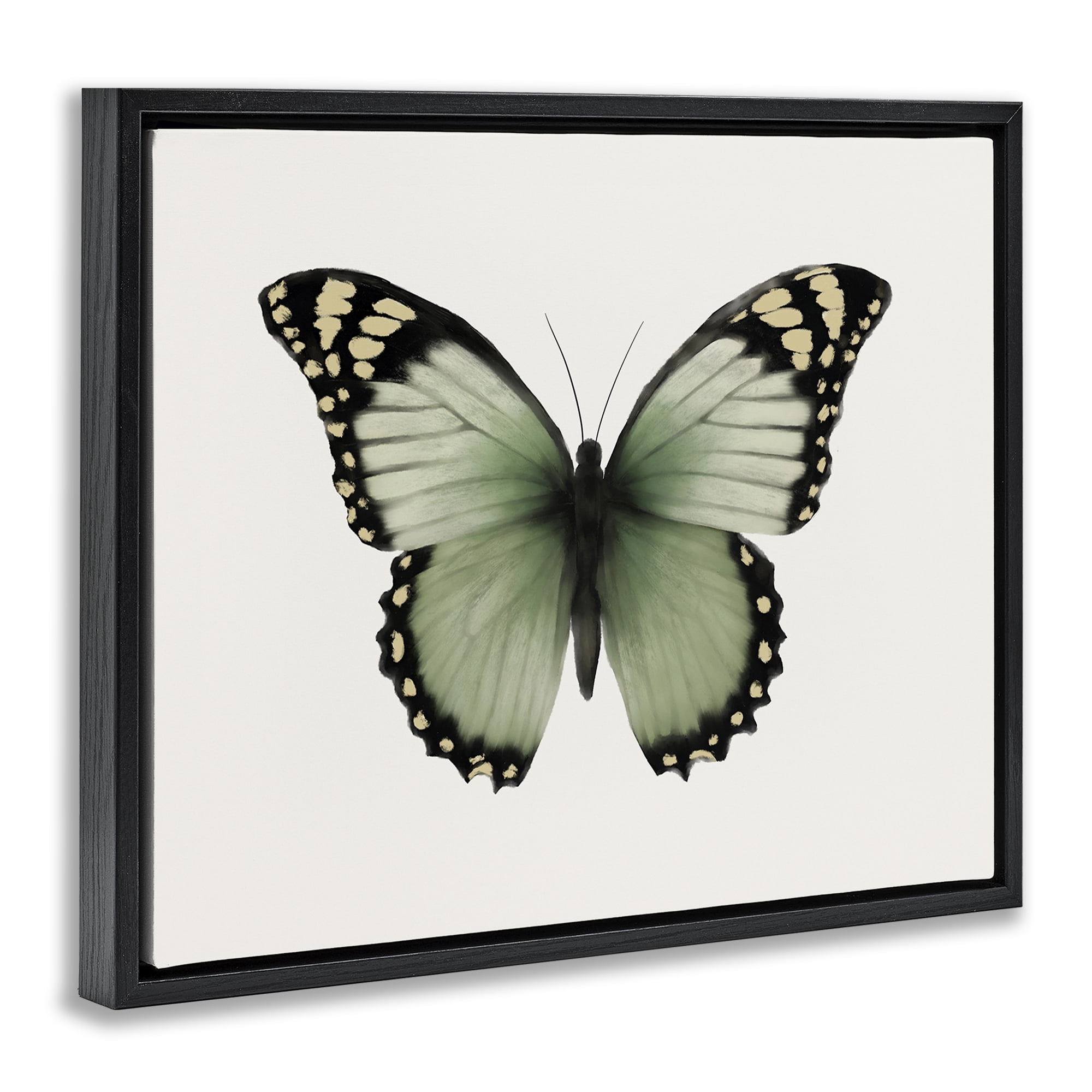 Stupell Industries Green Symmetrical Butterfly Animals Painting Black Floater Framed Canvas Art Print Wall Art, 31 x 25
