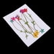 thumbnail image 4 of 10 Piezas Flores Secas Prensadas Naturales Zulema, 4 of 8