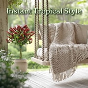 Tropical Plants of Florida 44 to 48 Braided Shrimp Tree; Red Flowers, Full Sunlight, Growers Pot