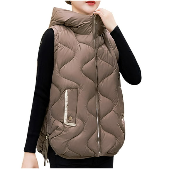 DeHolifer Women's Winter Warm Vest 2023,Plus Size Stylish Thick Cotton Padded Outerwear Cute Sleeveless Casual Vest Coffee L