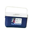 thumbnail image 2 of Cubo de Hielo para Picnic shamjiam 5L Organizador de Almacenamiento de Bebidas Azul, 2 of 8