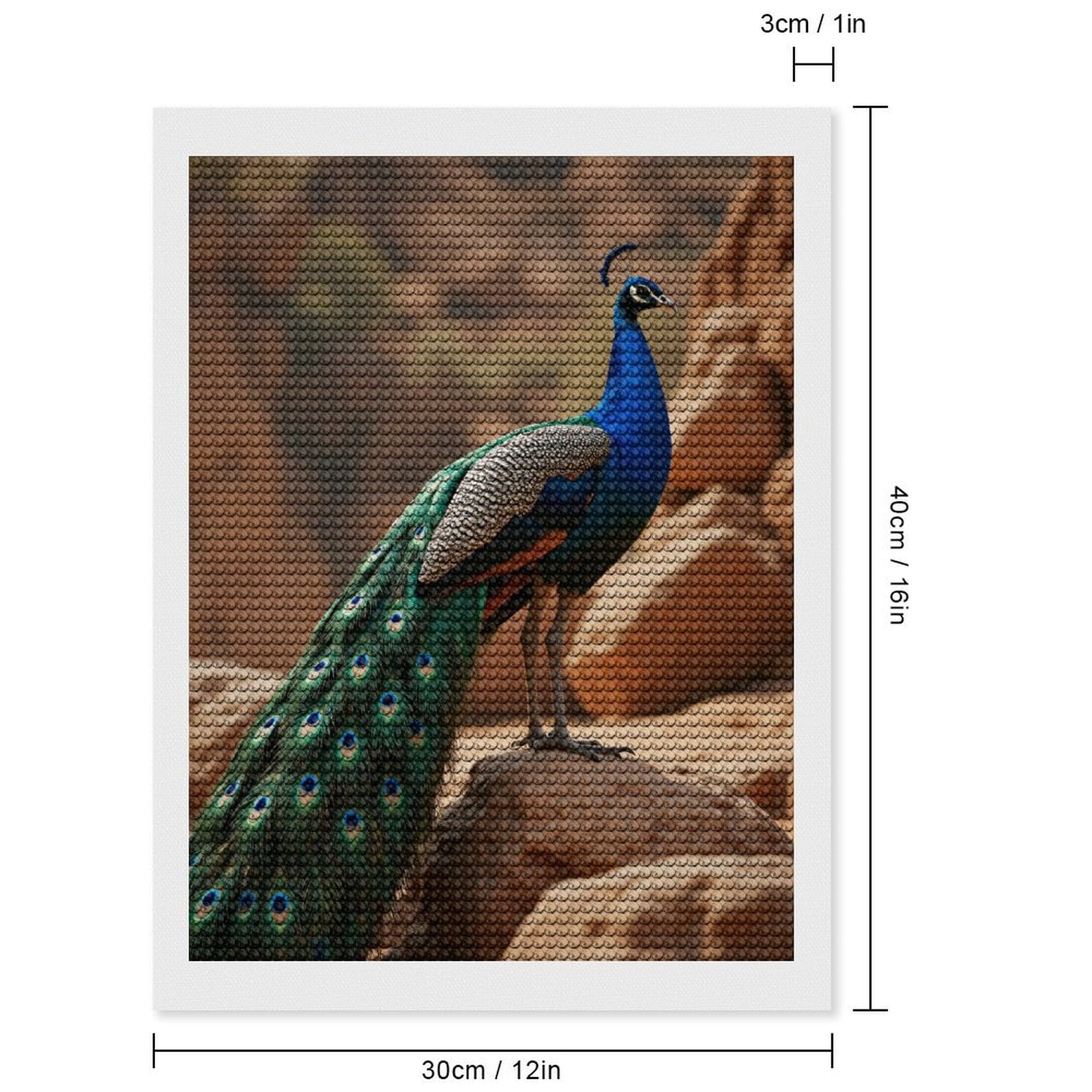 Diamond Art Kits for Adults, Majestic Bird Vibrant Feathers Rocks 5D Diamond Painting Kits for Adults Beginners, DIY Full Drill Diamond Painting, Gem Art and Crafts 12x16