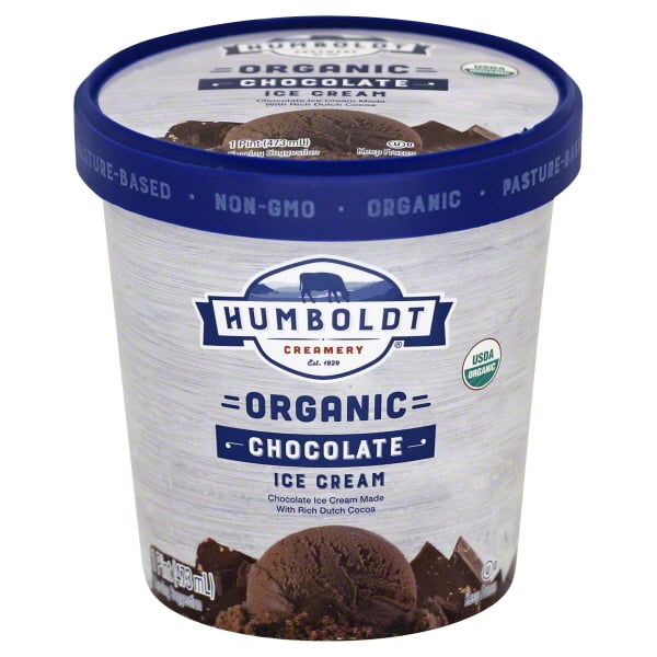 natural chocolate ice cream