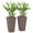 Brown, variant on Set of 2 Tall 23" Planters, PP Plastic with Drainage Holes, UV-Resistant, for Front Door, Patio, Garden, Black