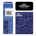thumbnail image 1 of L'Oréal Paris Colorista Semi Permanente Hair Color, 1 of 7