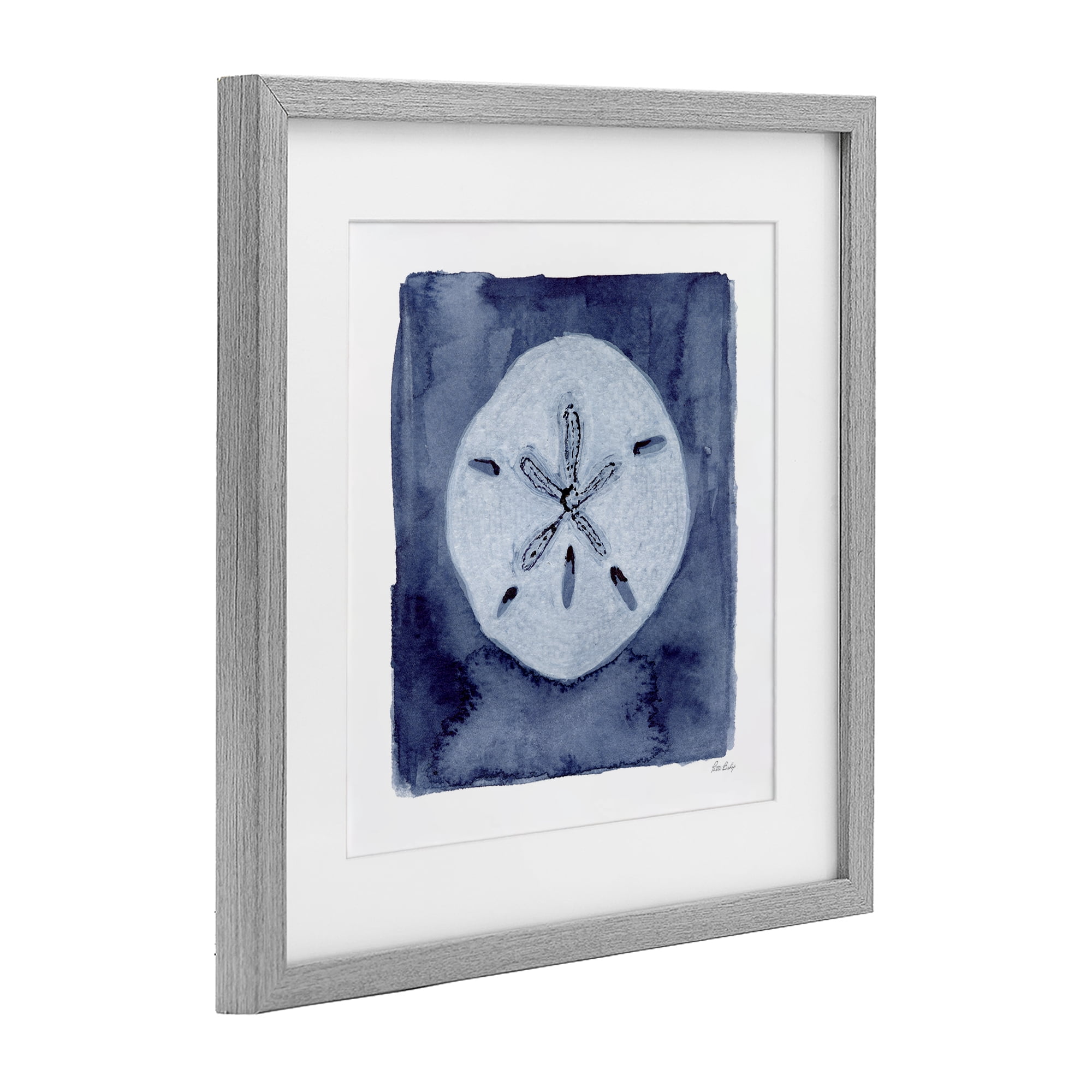 Stupell Industries White Sand Dollar on Indigo Gray Framed Print Under Glass, design by Patti Bishop