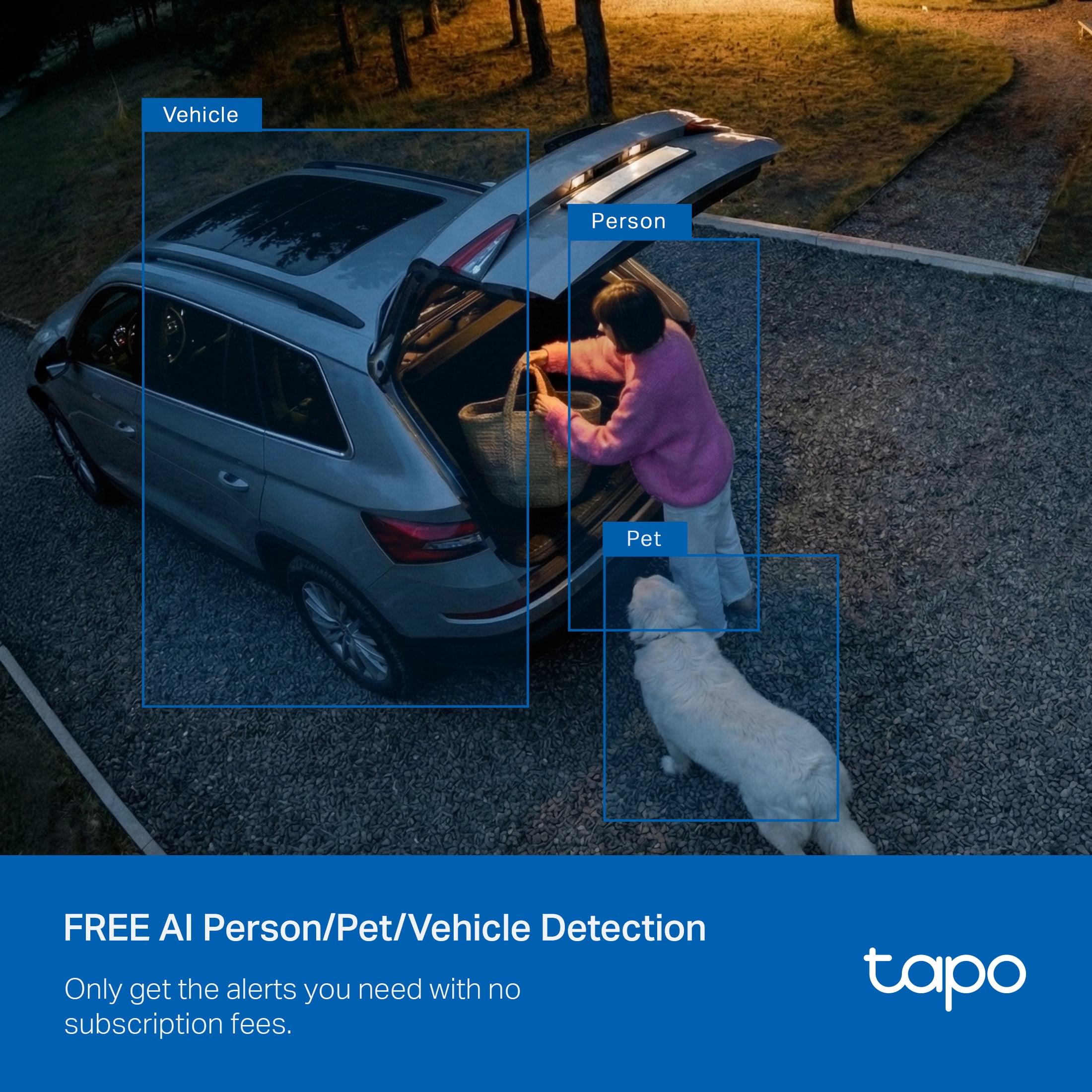 TP-Link Tapo Wired, Ultra-Bright Motion-Activated, Weatherproof Floodlight with 2K Camera, Two-Way Audio, Full-Color Night Vision, Smart AI Detection.  Easy App Setup. No-Subscription Required - TC53