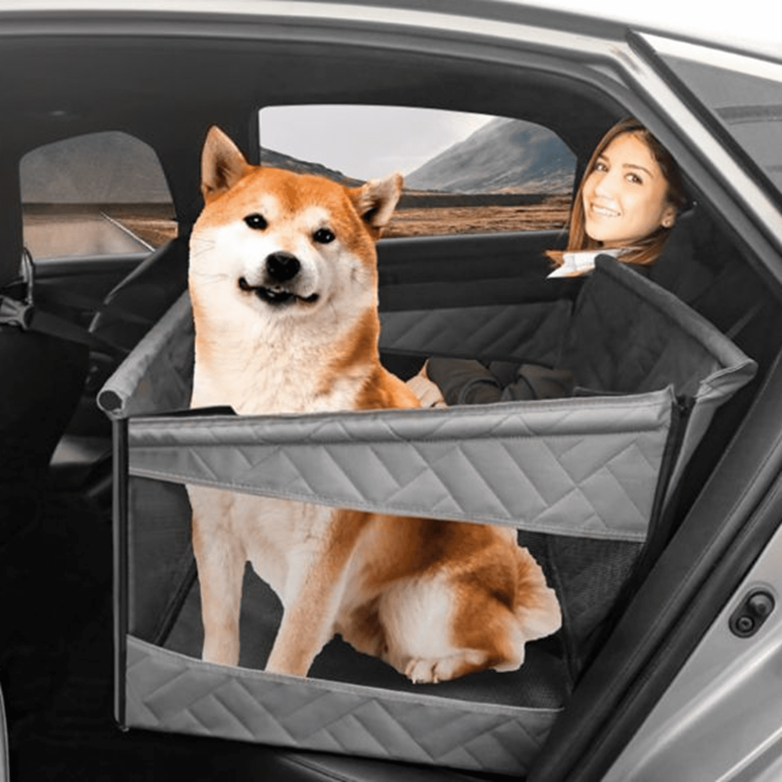 Pets First NFL Dallas Cowboys Premium Car Seat Cover - Walmart.com