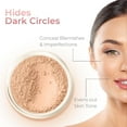 thumbnail image 3 of Concealer & Corrector KIT with Brush Mineral Makeup Set Bare Skin Matte Powder (5 gram Sifter Jars, Dark Concealer), 3 of 28
