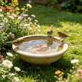 thumbnail image 5 of Tong Copper Disc Bird Bath For Bird Feeders Brass Water Basin Cleaning Disk For Outdoor Bird Bath Bird Feeders For Outdoor Use Copper Bird Bath Cleaner With Protective Coating, 5 of 5
