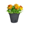 thumbnail image 4 of 11.5IN auto-arrosage PLANT SPA-GRISE, 4 of 5