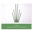 thumbnail image 4 of Advancent 50x cinturón fuerte y duradero verde oscuro: soporte confiable para proyectos de hogar y jardín poder de unión ABS ajustable verde Type1 NO1, 4 of 6