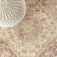 thumbnail image 6 of JONATHAN Y MODERN PERSIAN 5 x 8 Area Rug, Petras Ornate Medallion - Gray/Brown, MDP307A-5, 6 of 12