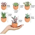 thumbnail image 3 of Mini Fake Succulent Plants Artificial Plastic Succulents Potted Faux Assorted Plants for Home Office Table Decoration, Set of 6 (White Plastic Pots), 3 of 5