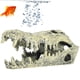 thumbnail image 5 of Decoración Artificial ANGGREK adorno de Calavera para Pecera de resina, 5 of 8