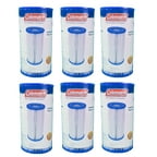 coleman 18 ft pool filter