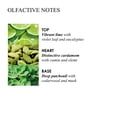 thumbnail image 4 of Molton Brown Lime & Patchouli Fine Liquid Hand Wash 300ml/10oz, 4 of 9