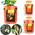 thumbnail image 2 of Deago 2 Pack 10 Gallon Grow Bags Portable Potato Growing Bag Planter Bags Planting Pouch with Handles Access Flap for Carrot Onion Vegetables, 2 of 8