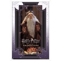 Harry Potter and the Sorcerer's Stone - Dumbledore Wise Wall Poster, 14.725" x 22.375", Framed