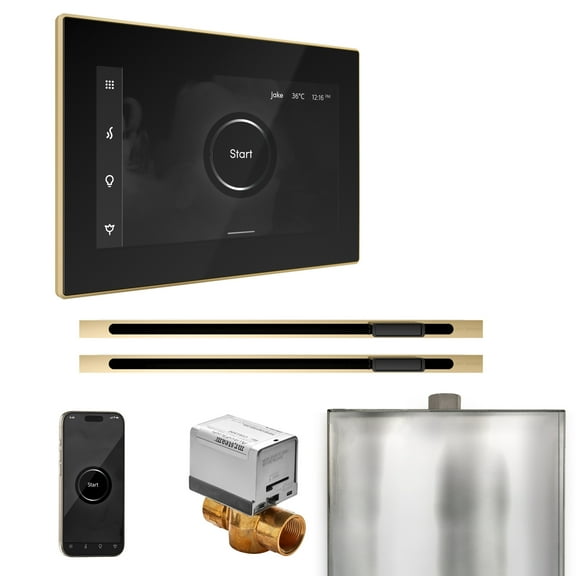 Mr Steam XButler Max Steam Shower Pkg w/iSteamX Control and Linear Steamhead in Black Polished Brass