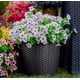 thumbnail image 5 of 12 Manojos de Flores Artificiales de Otoño, Decoración de Otoño Al Aire Libre a Prueba de Decoloración para Porche, Jardín, Patio, Sala de Estar, Recámara - Arreglo Floral Decorativo Multiusos, 5 of 10