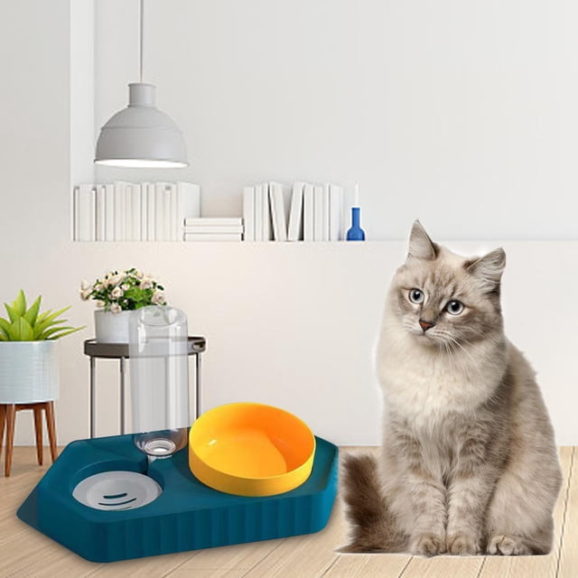 Dot Bowls Estación de alimentación para mascotas con dispensador de agua Alimentador automático para mascotas para mascotas pequeñas, medianas y Salvador Alimentador Automático
