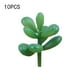 thumbnail image 5 of 10 Piezas de Suculentas Falsas Yuarrent, 5 of 6