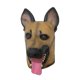 thumbnail image 5 of Máscara de , máscara de cabeza completa de látex, tocado, accesorios de cosplay de perro, máscara de animal para fiesta de carnaval de, 5 of 8