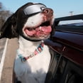 thumbnail image 3 of CBFFDC Lunettes de Protection pour Chien avec Sangles Réglables Protection UV Lunettes de Soleil Anti-Buée pour Extérieur Conduite Chiot, 3 of 7