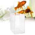 thumbnail image 2 of Titration  Transparent Titration  Transparent Acrylic Dosing Pump Store Reservoir Barrel Titration  Aquarium 2.5L, 2 of 8