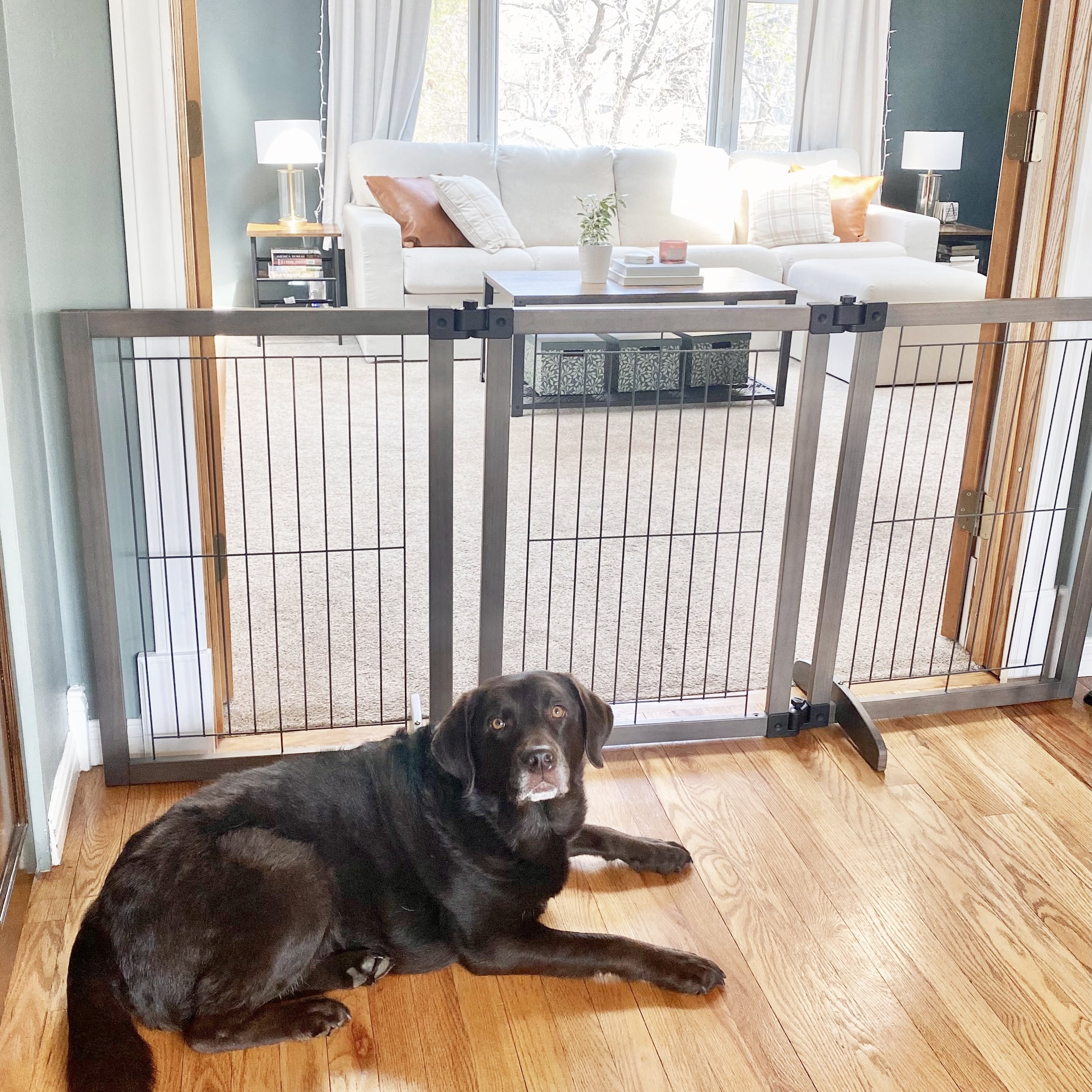 North States MyPet Extra-Wide Freestanding Versa-Lock Pet Gate, Expands to 72" Wide