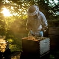 thumbnail image 4 of Complete Beekeeping 30 Frame Beehive Box Kit 10 Medium / 20 Deep Langstroth Hive, 4 of 8