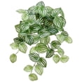 thumbnail image 2 of Allstate Artificial Peperomia Watermelon Leaves Spray  - 16" - Green, 2 of 6