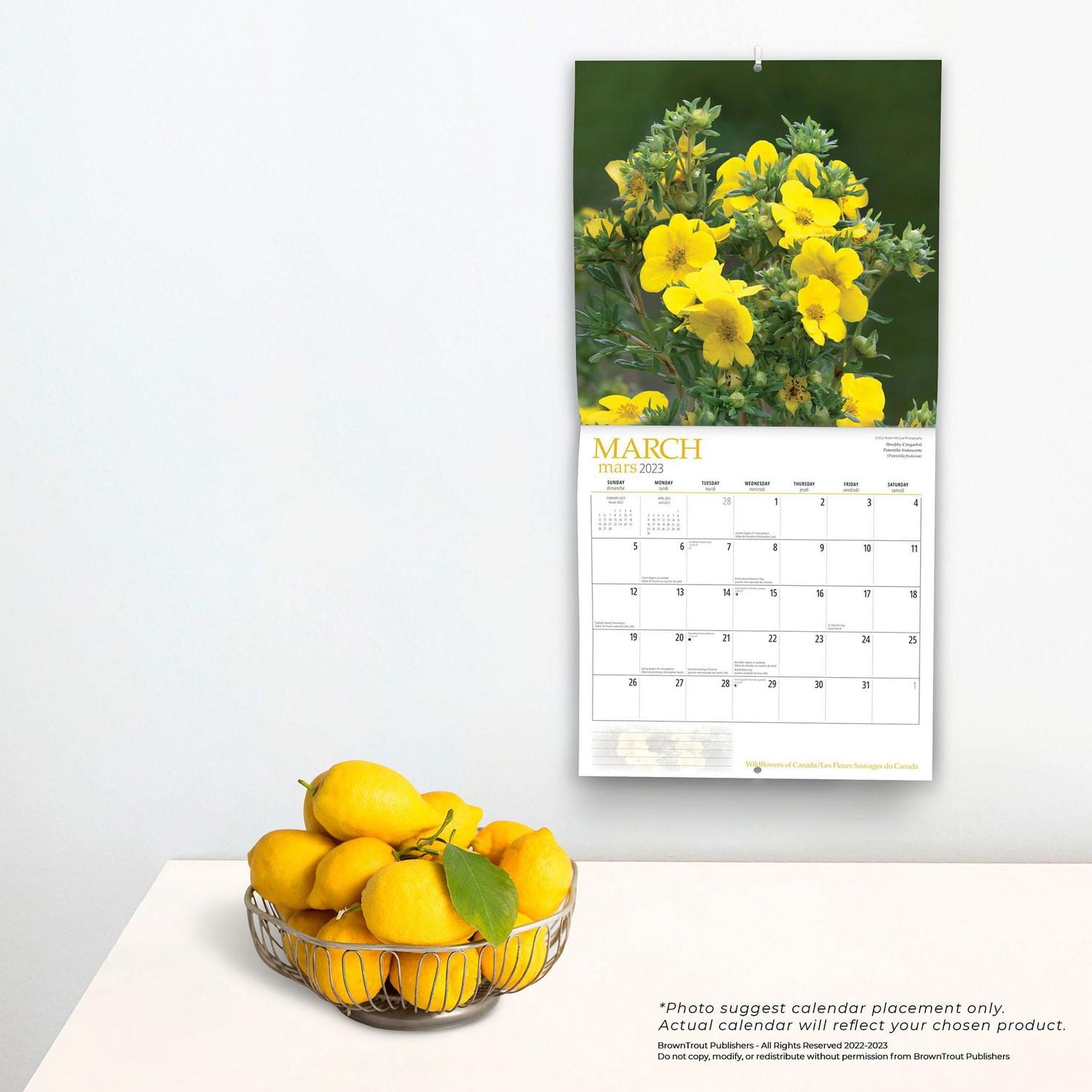 Wildflowers of Canada 2023 Square