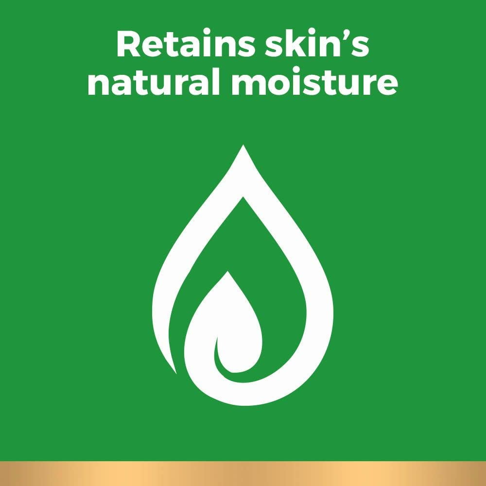 Irish Spring Original Clean Body Wash for Men (Pack of 6)